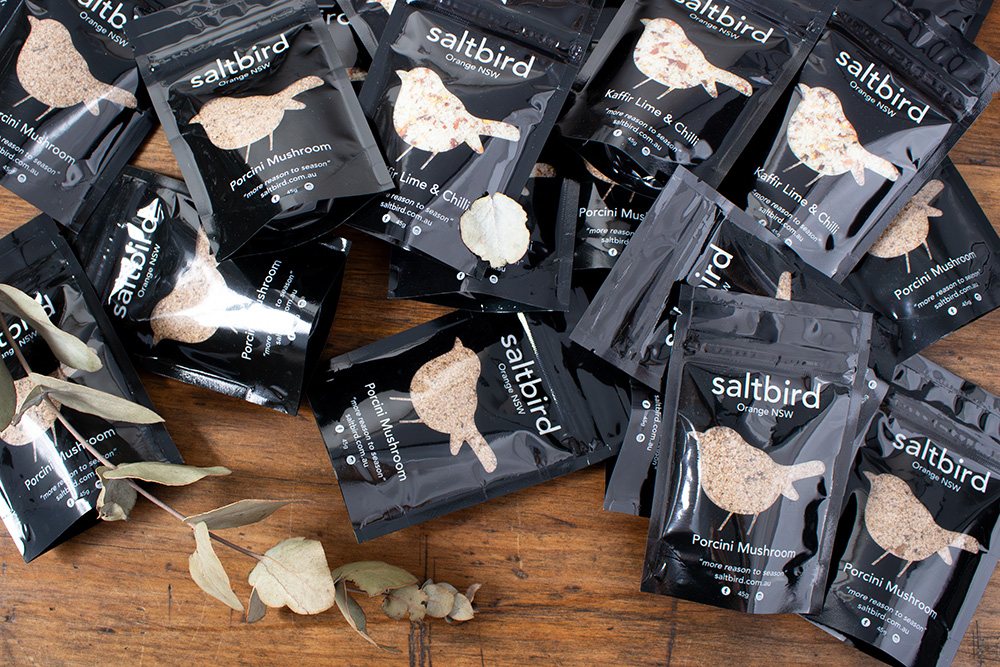 Discover the Story Behind Saltbird: Interview with Rachel Blanchard.