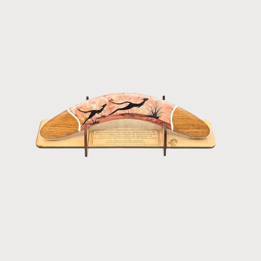 Boomerang with Display Stand – Assorted Colours