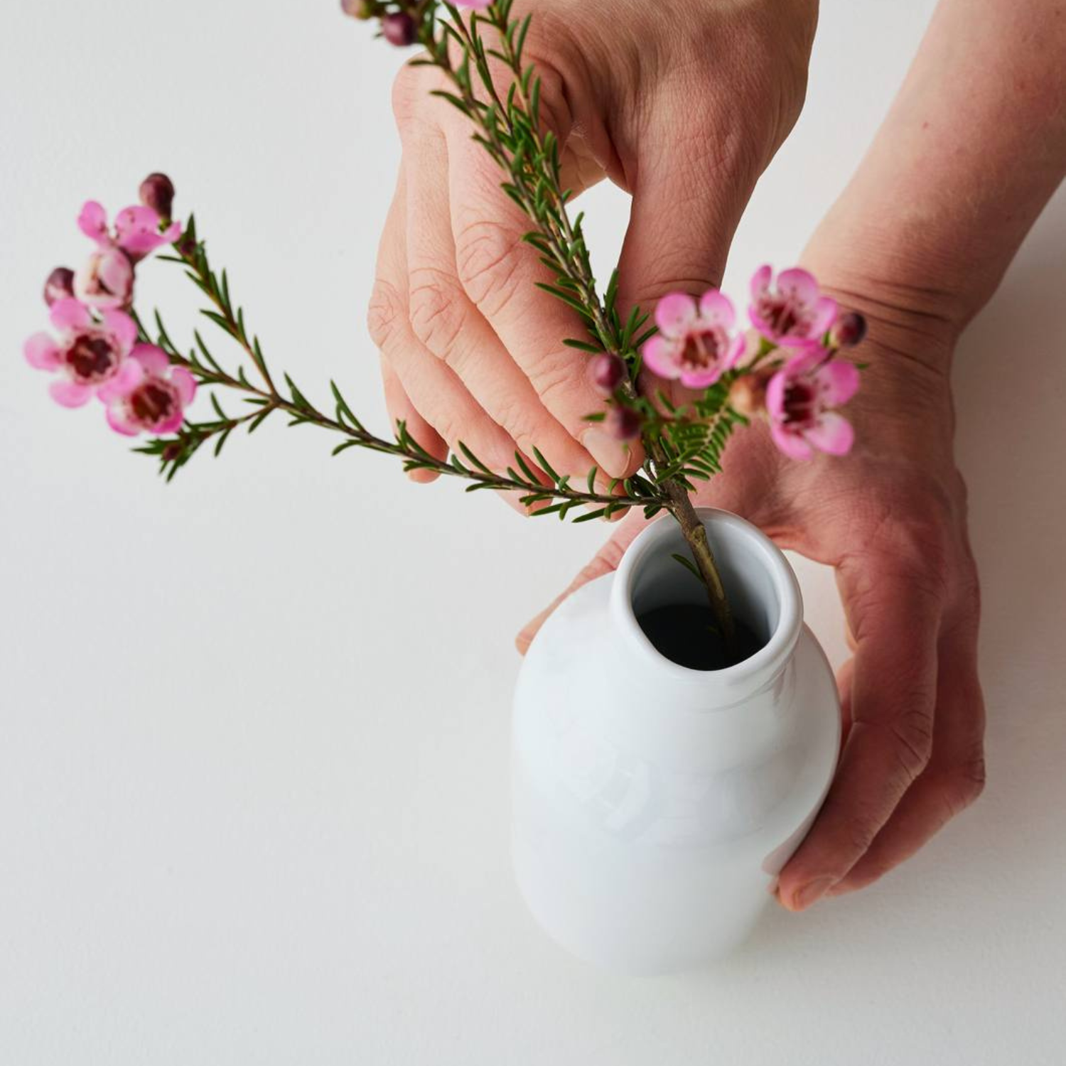 Poppy Botanic Vase
