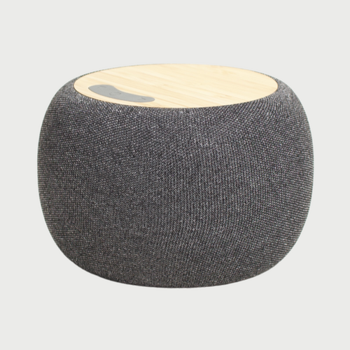 Bamboo Speaker