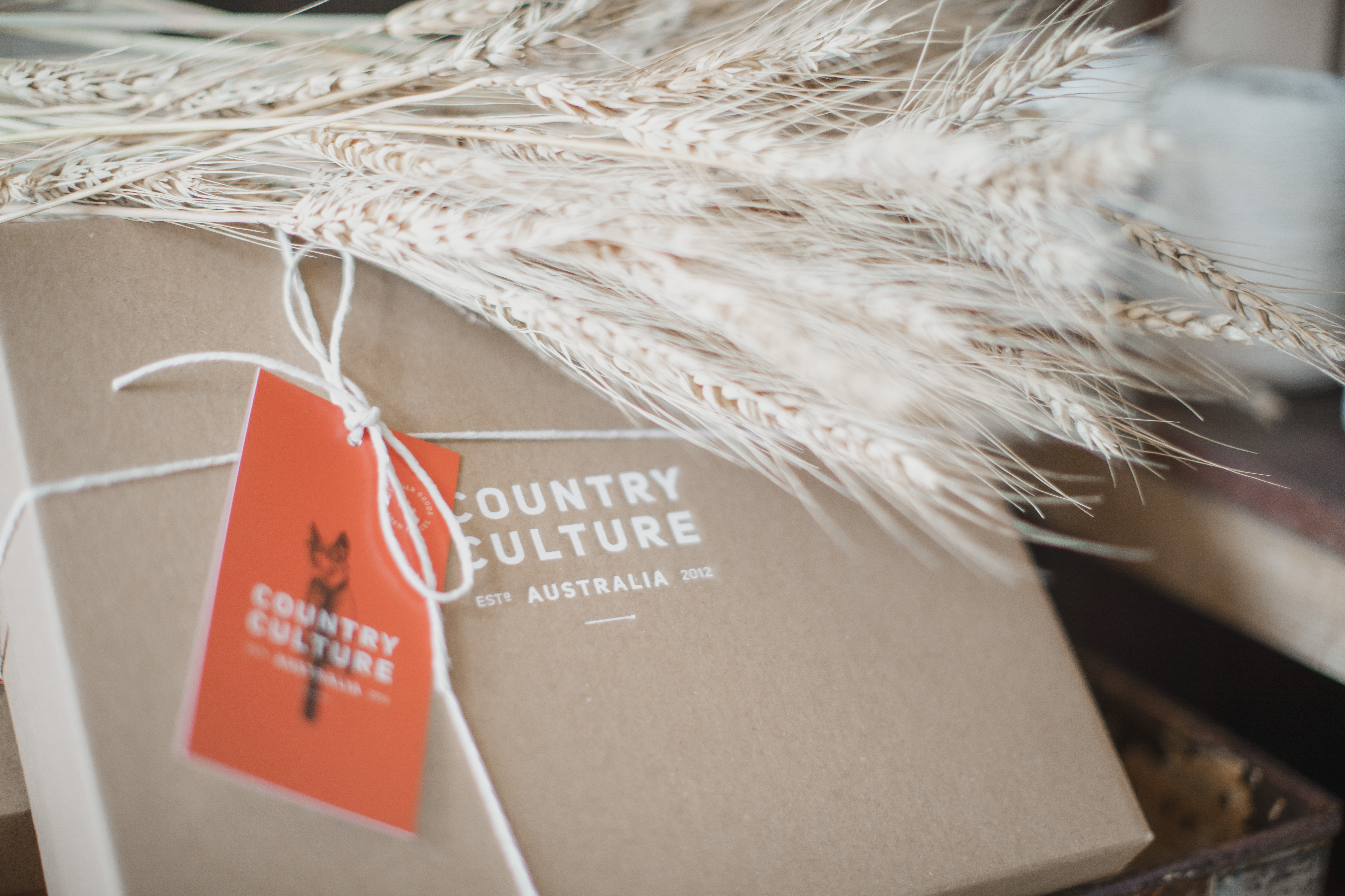 All Gift Boxes