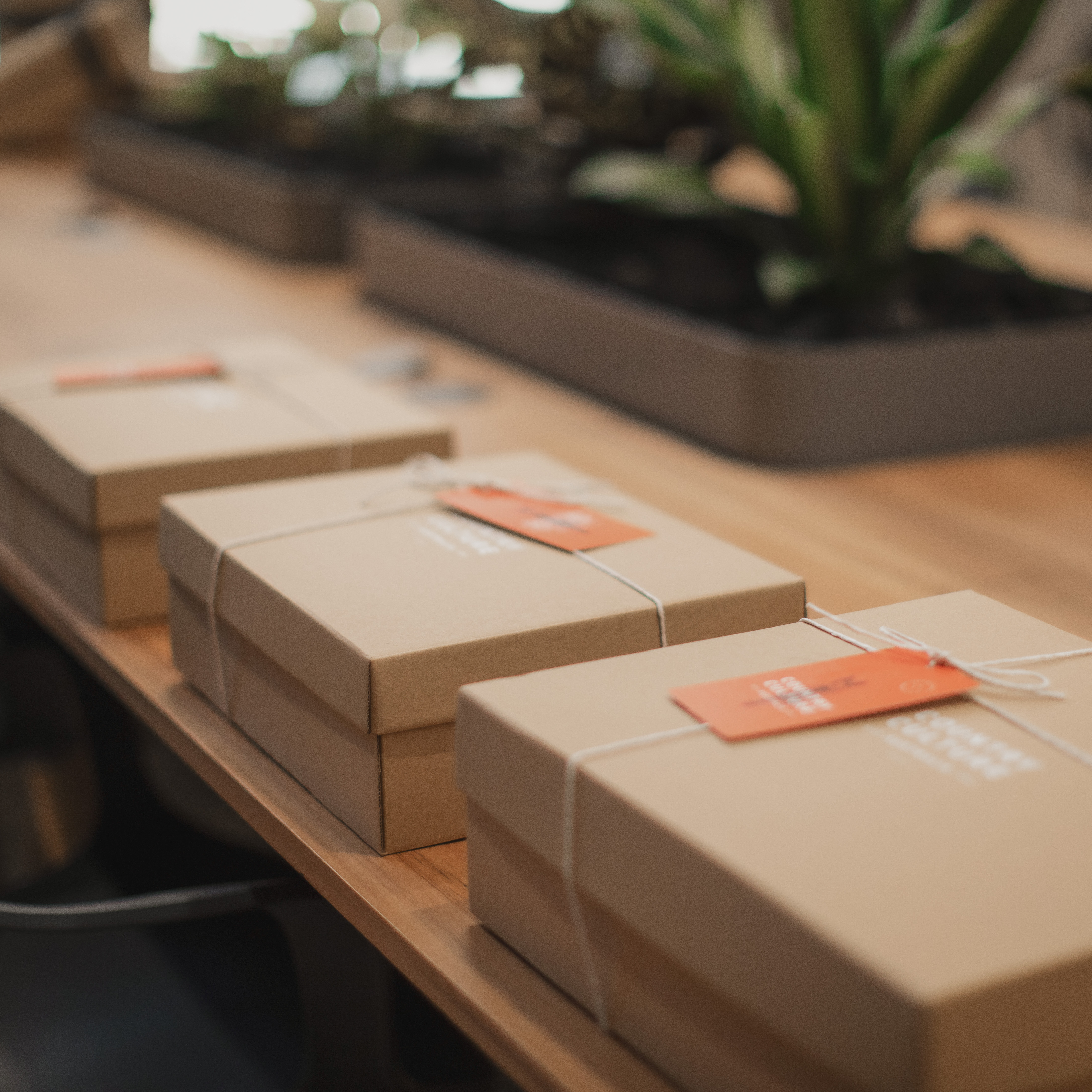 Why Sustainable Gift Ideas Matter for Office Staff